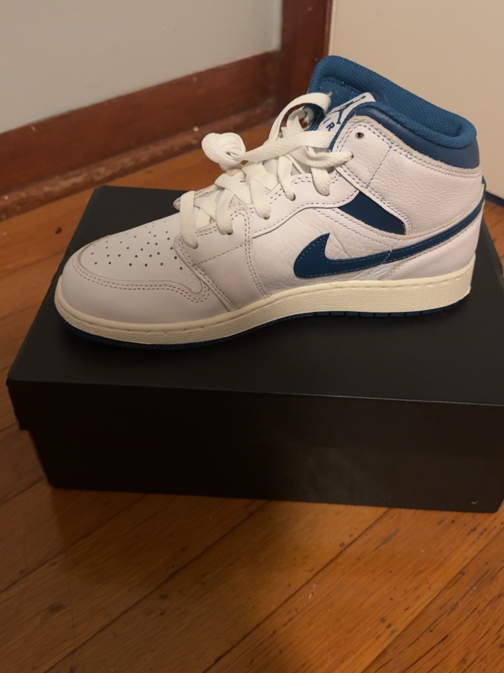 Nike Air Jordan’s White and Blue High-Top Sneakers